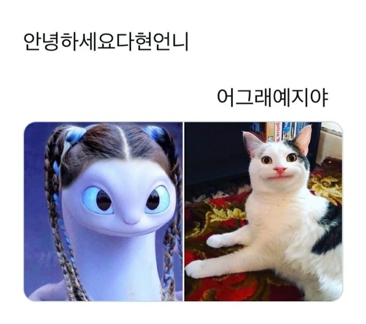 17368655695002.jpeg