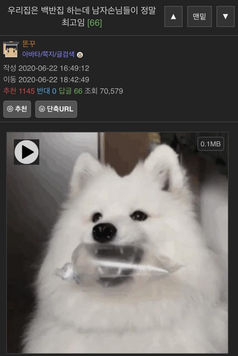 17368671246155.jpeg