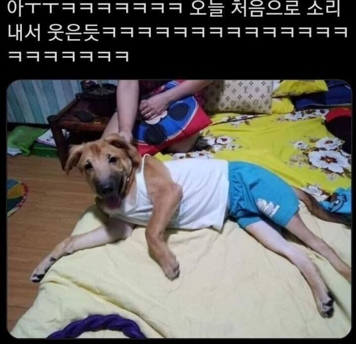 17369495892033.jpeg