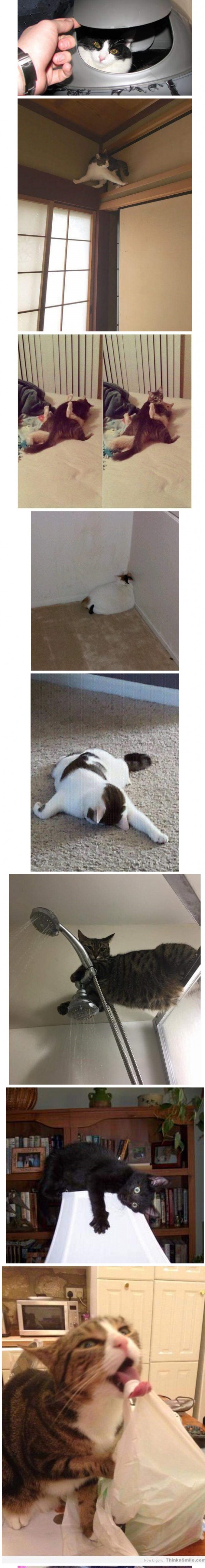 17369549926702.jpeg