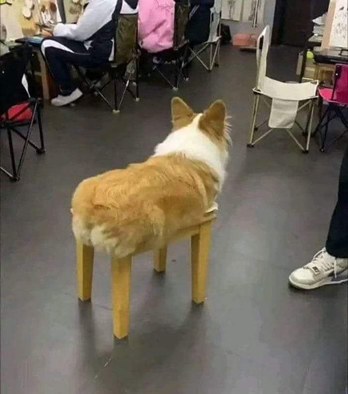 1736955453392.jpeg