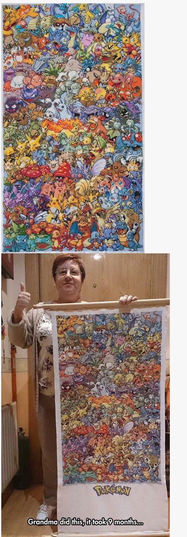 17369578544311.jpeg