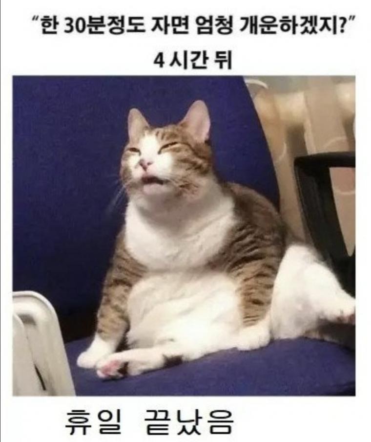 17370011207197.jpeg