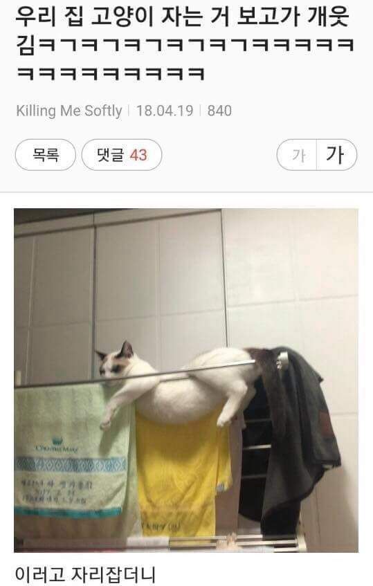 17370011404129.jpeg