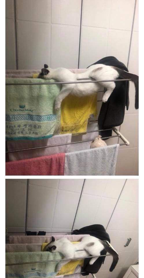 1737001140605.jpeg