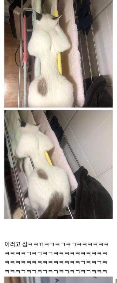 17370011407372.jpeg