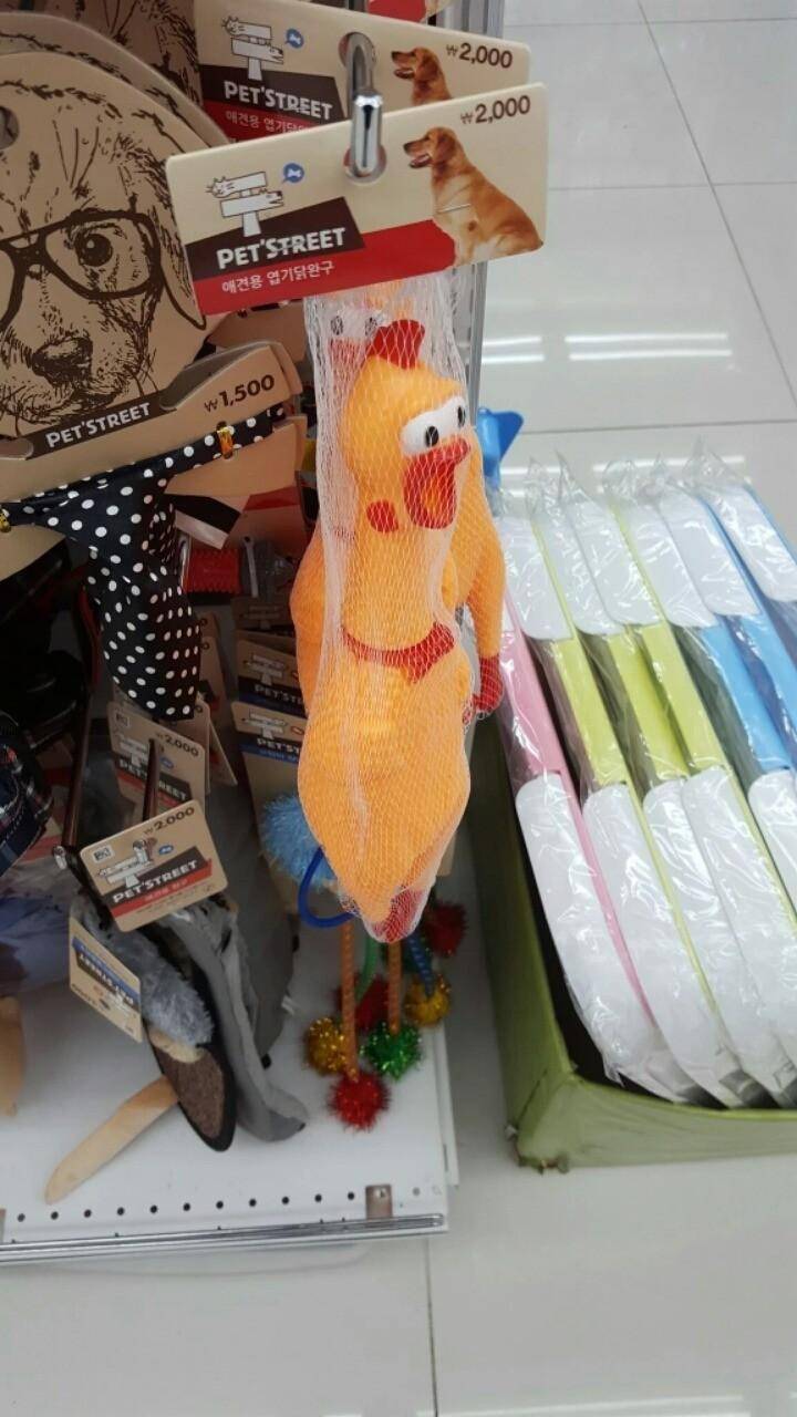 17370015891089.jpeg
