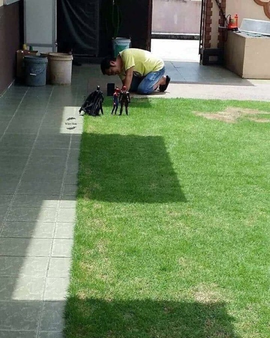 17370040114022.jpeg