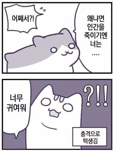 17370042239147.jpeg
