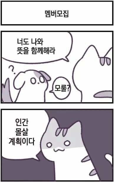 17370042240597.jpeg