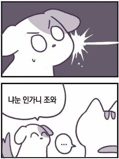 17370042241056.jpeg