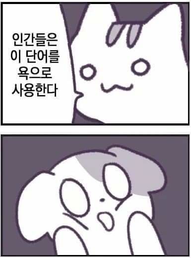 17370042241998.jpeg