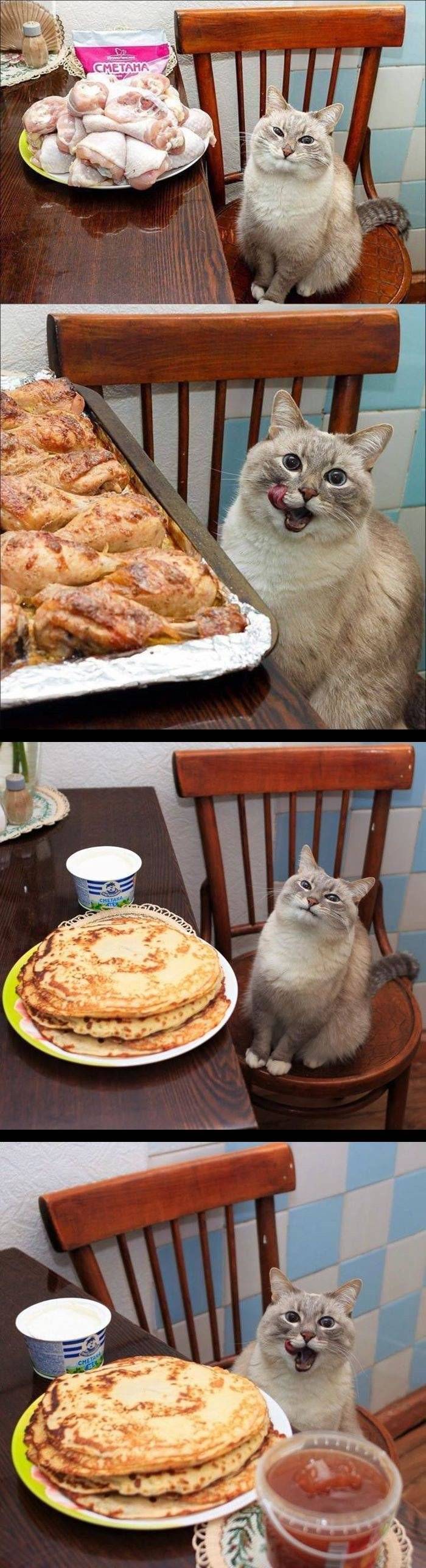 17370052675675.jpeg
