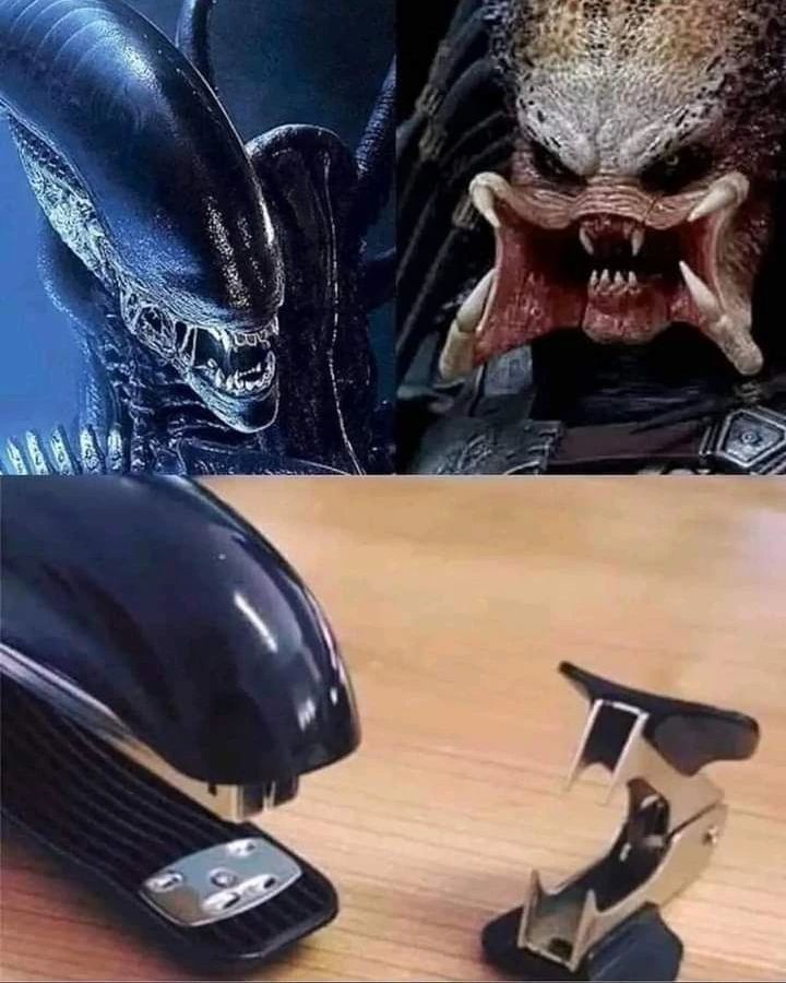 17370054420009.jpeg