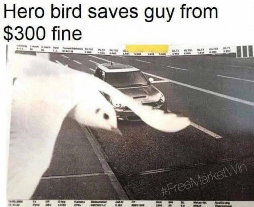 17370055675731.jpeg