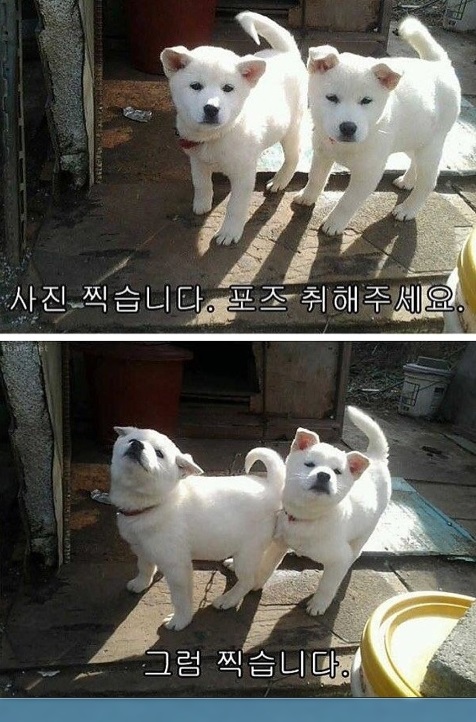 17370077512889.jpeg