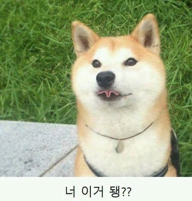 17370078818616.jpeg