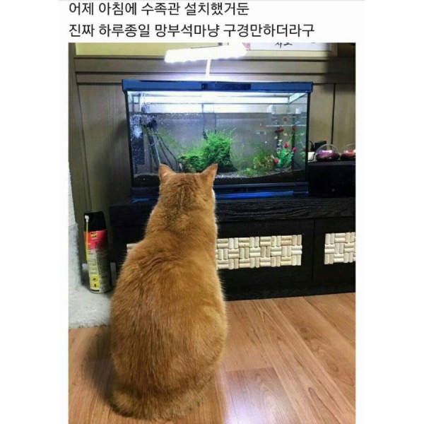 17370079333289.jpeg