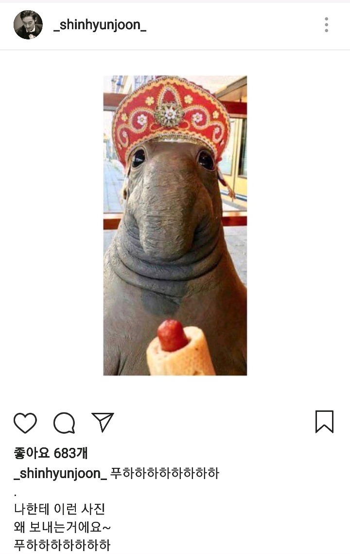 17370353295596.jpeg