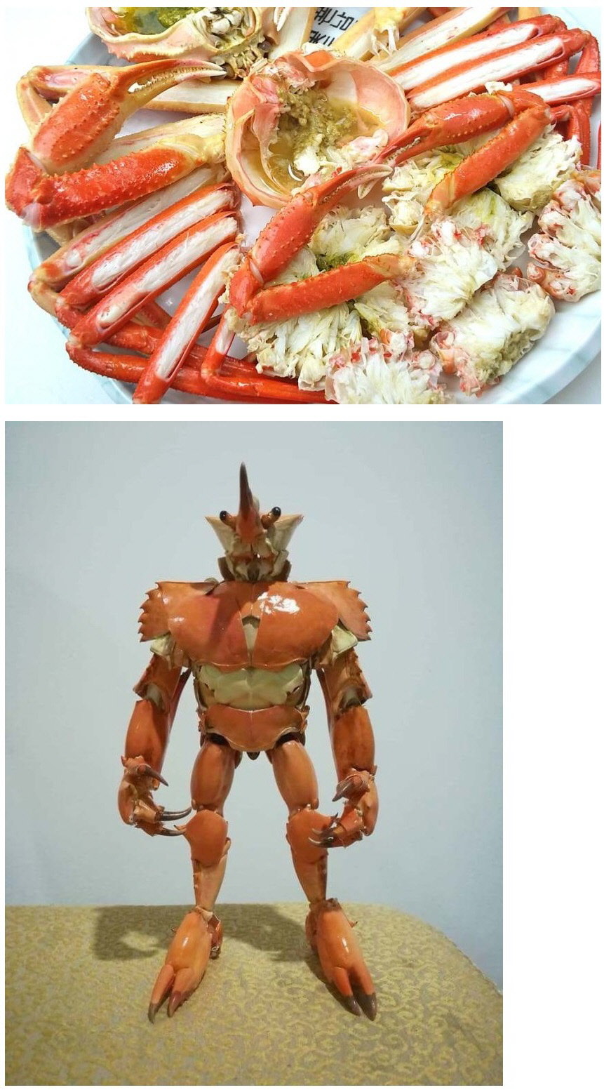 17370367871226.jpeg