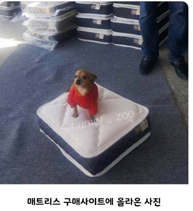 17370374008262.jpeg