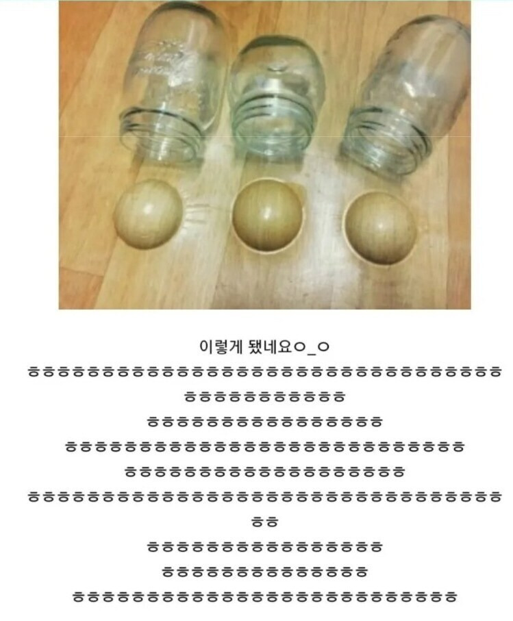 1737037526206.jpeg