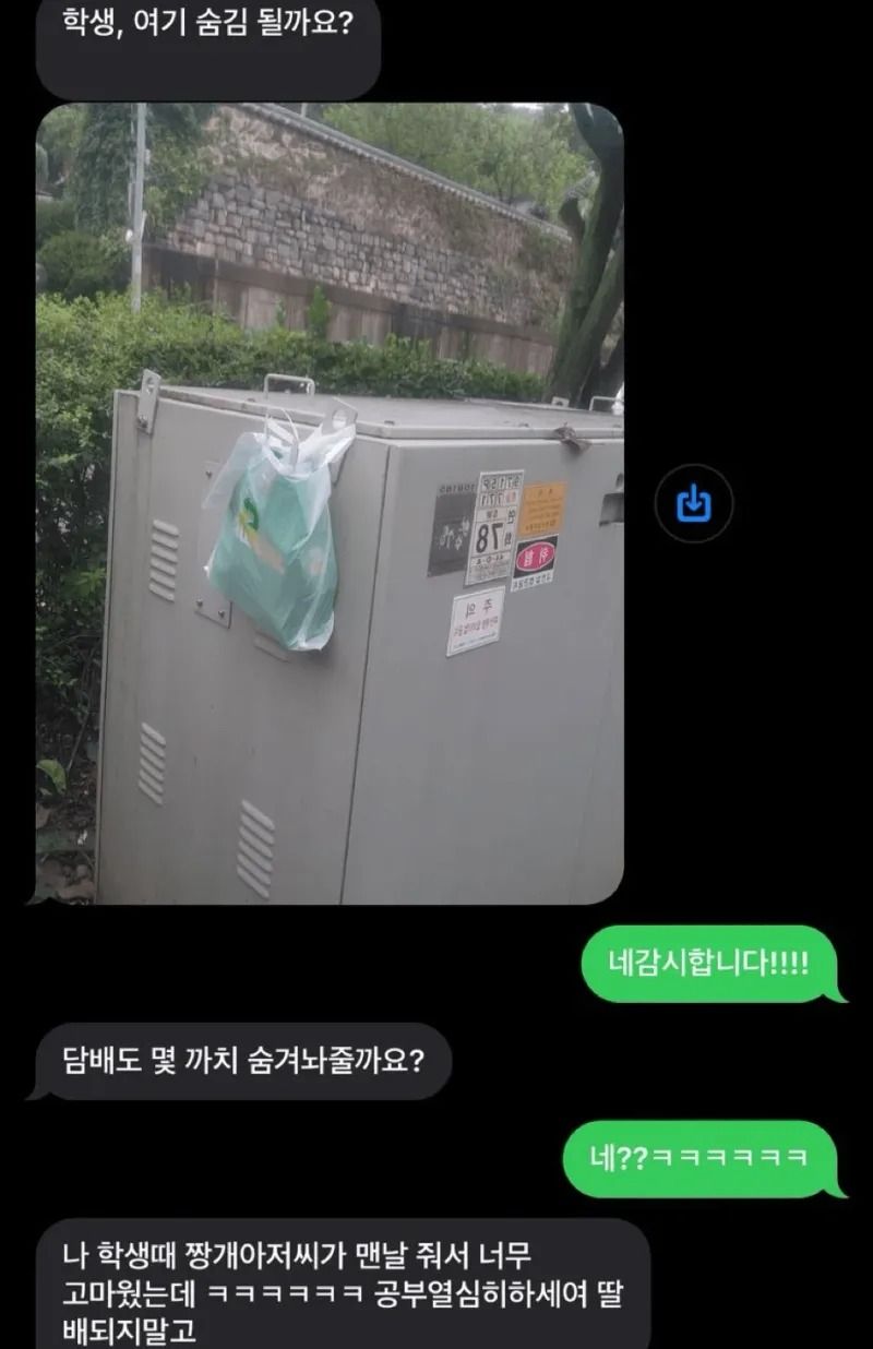 17370375683772.jpeg
