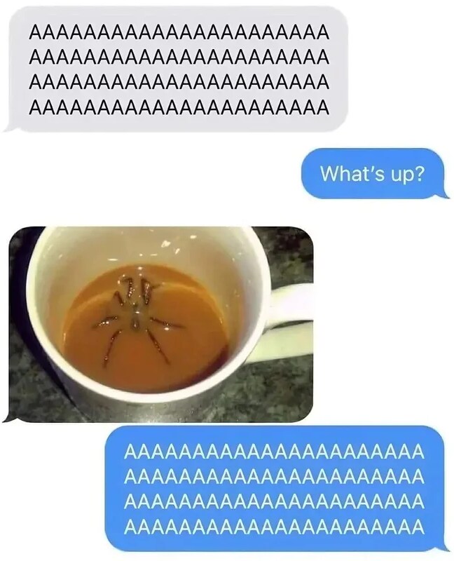 17370376932527.jpeg