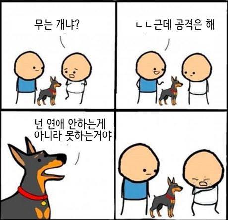 17370403684849.jpeg