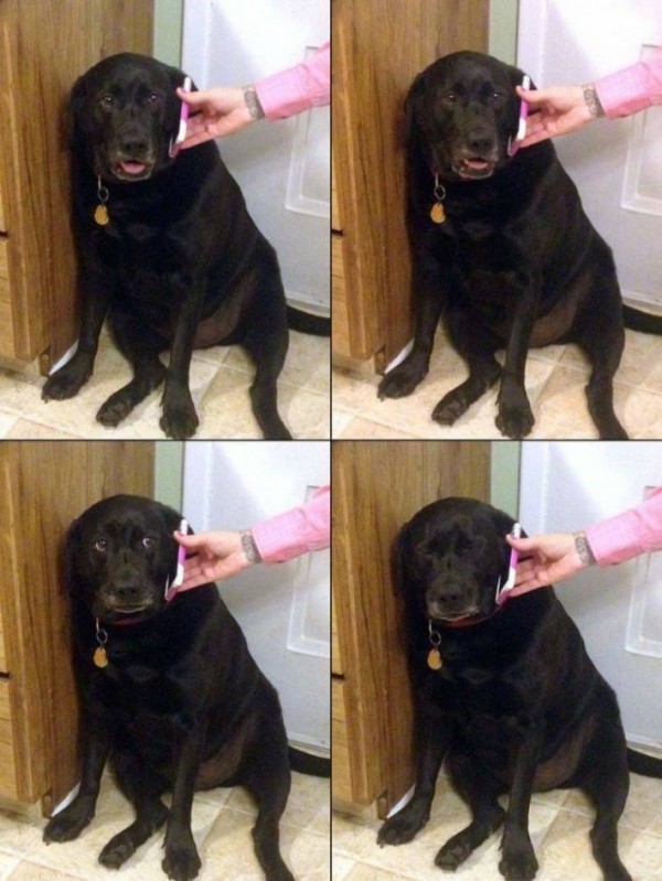 17370408417887.jpeg