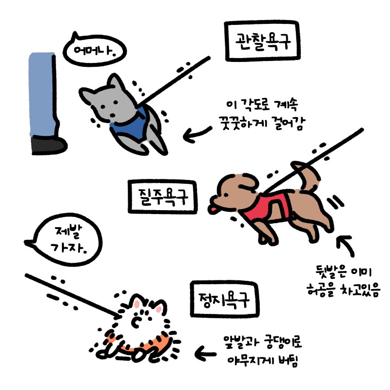 17370443056134.jpeg