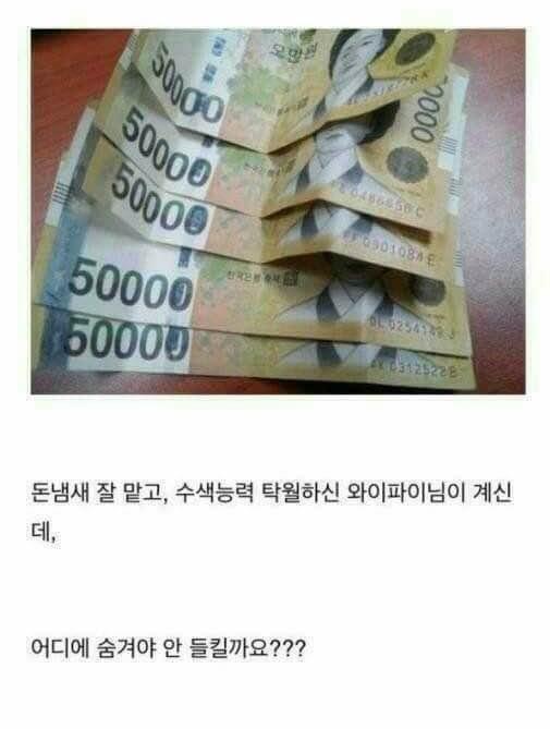 17370443873295.jpeg