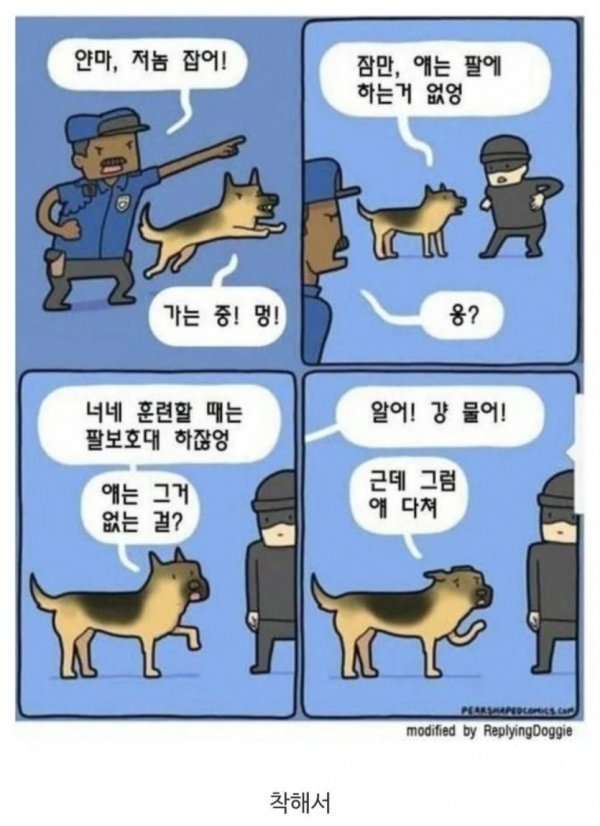 17370877567253.jpeg