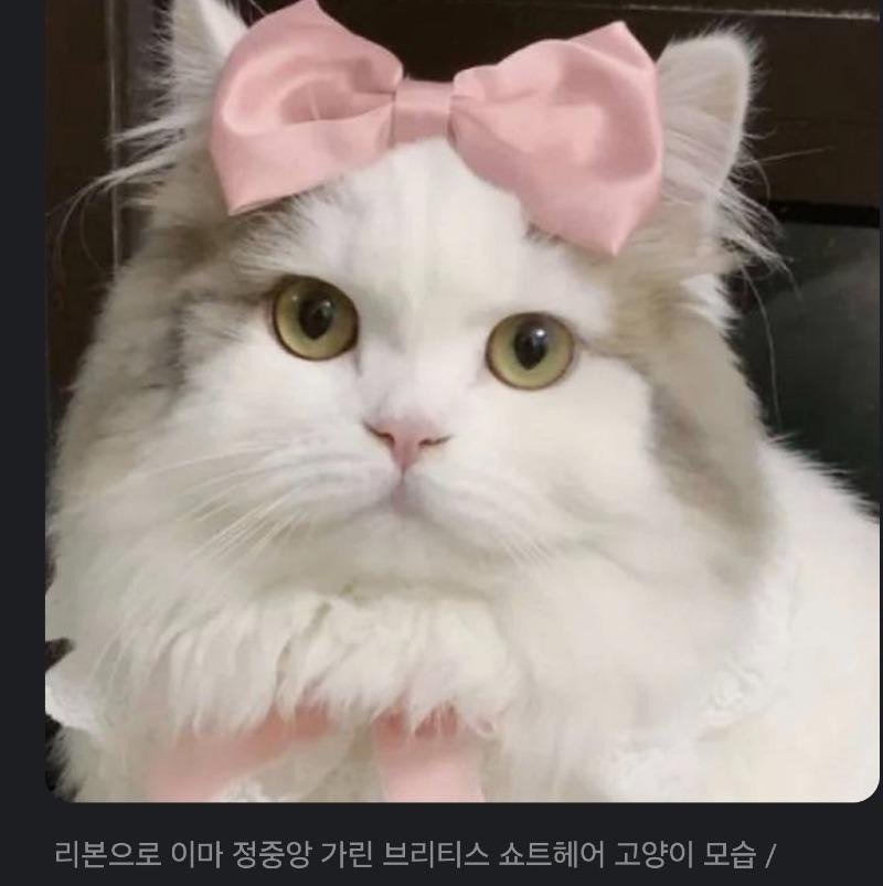 17370882102289.jpeg