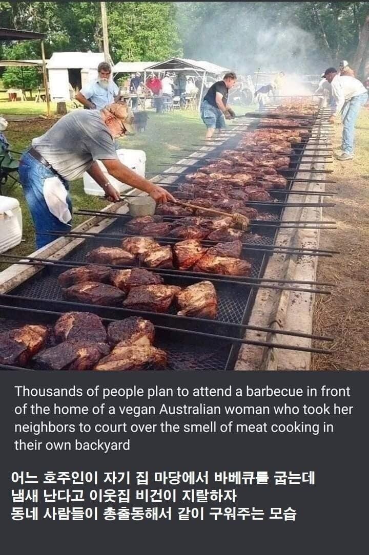 17370887381865.jpeg