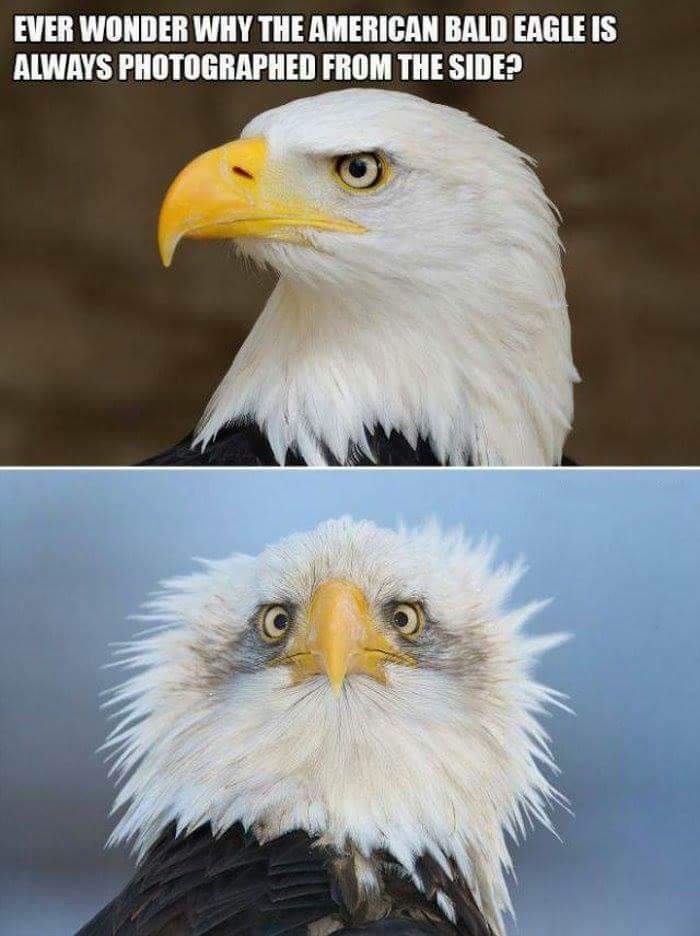 17370914817053.jpeg