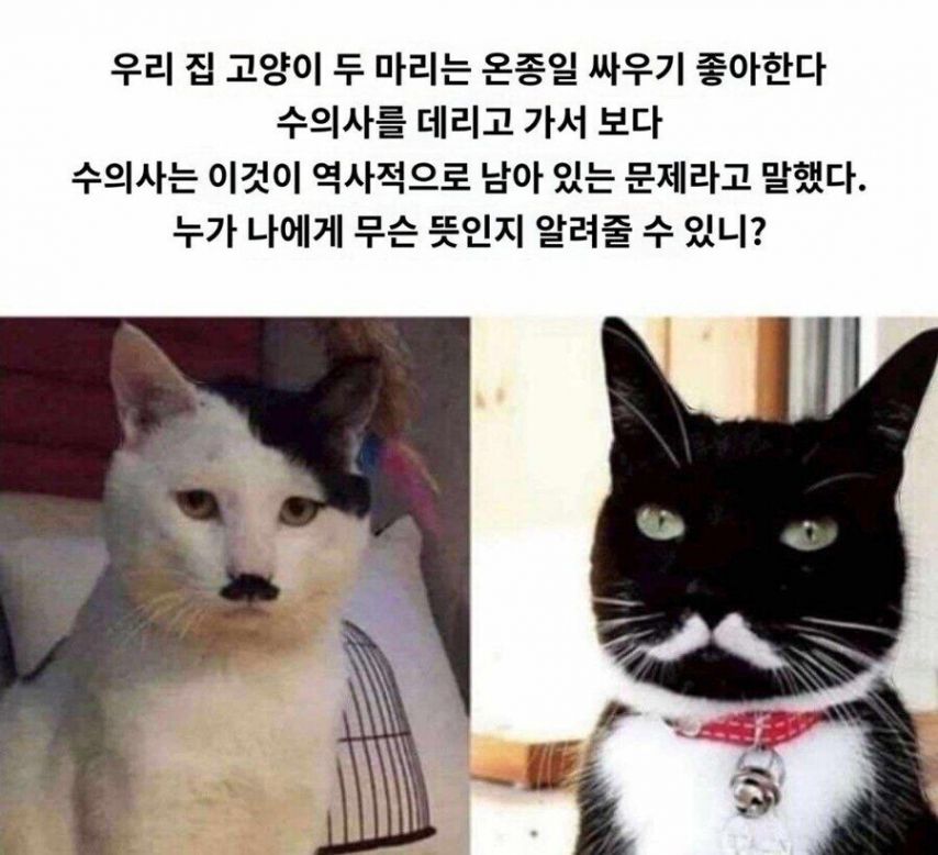 17370918656326.jpeg
