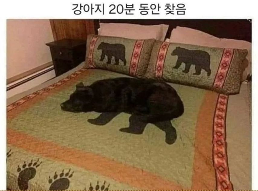 1737091937458.jpeg