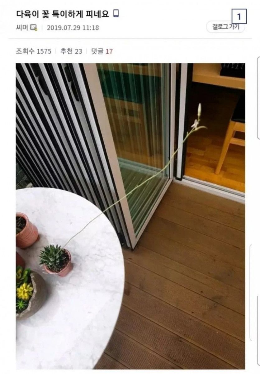 17370953144132.jpeg