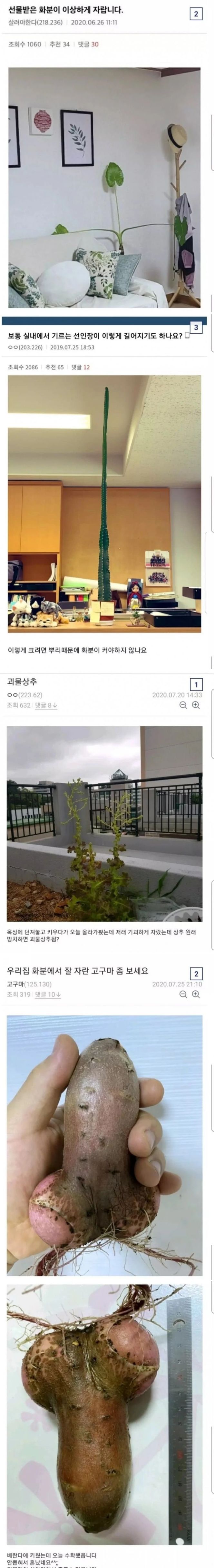 17370953144589.jpeg