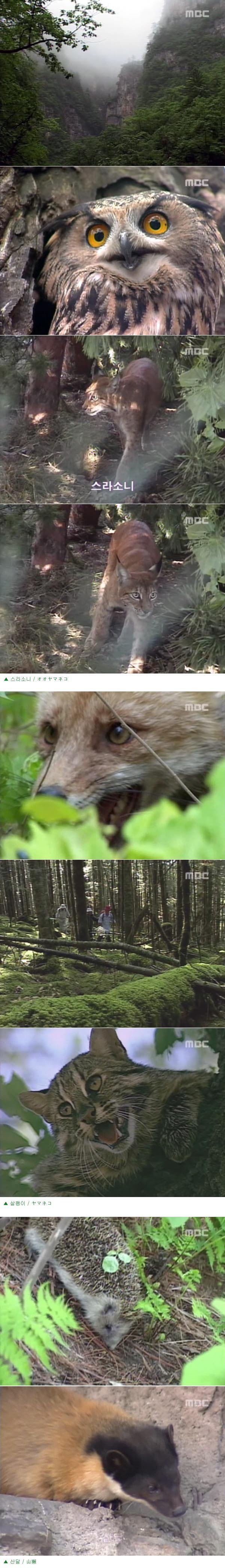17370953418103.jpeg