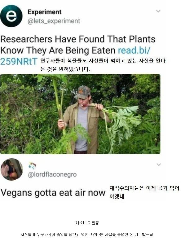 17370979002793.jpeg