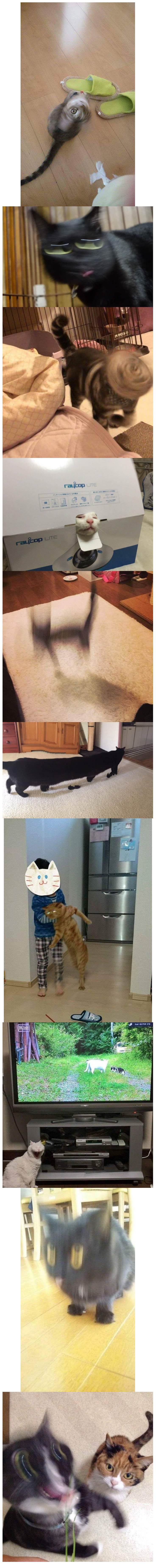17371242640636.jpeg