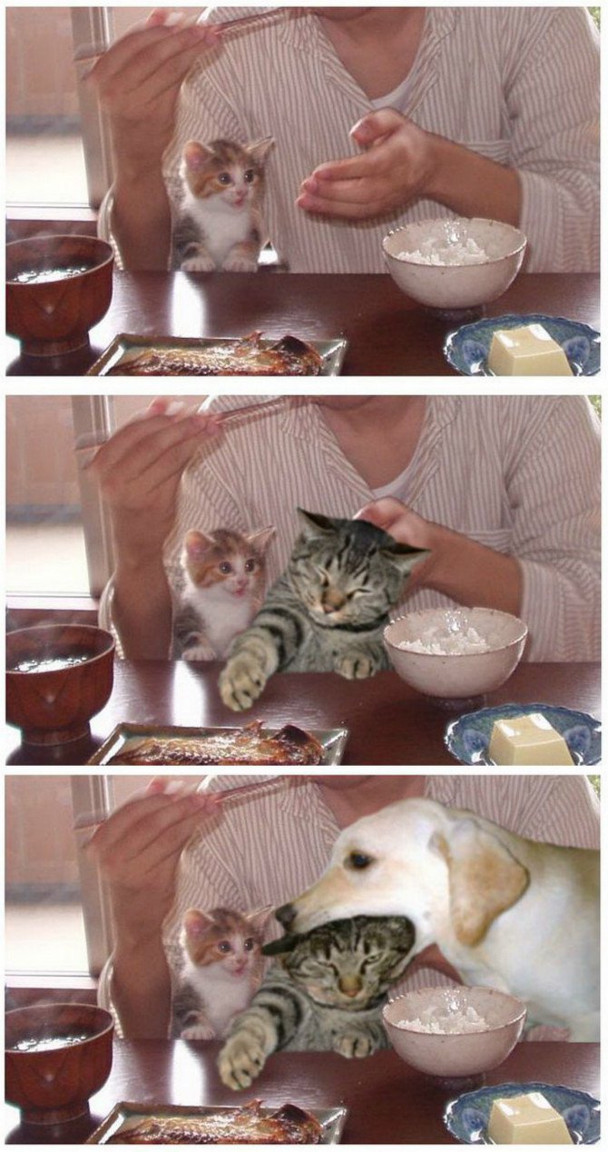 17371260748127.jpeg