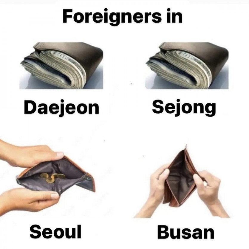 17371266366452.jpeg