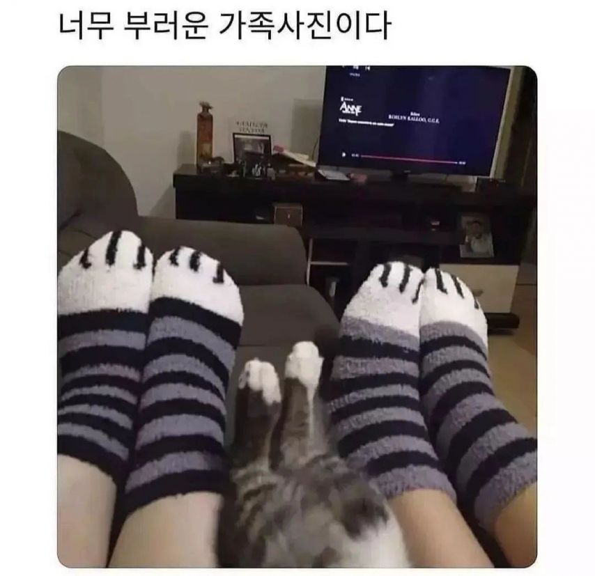 1737128137452.jpeg