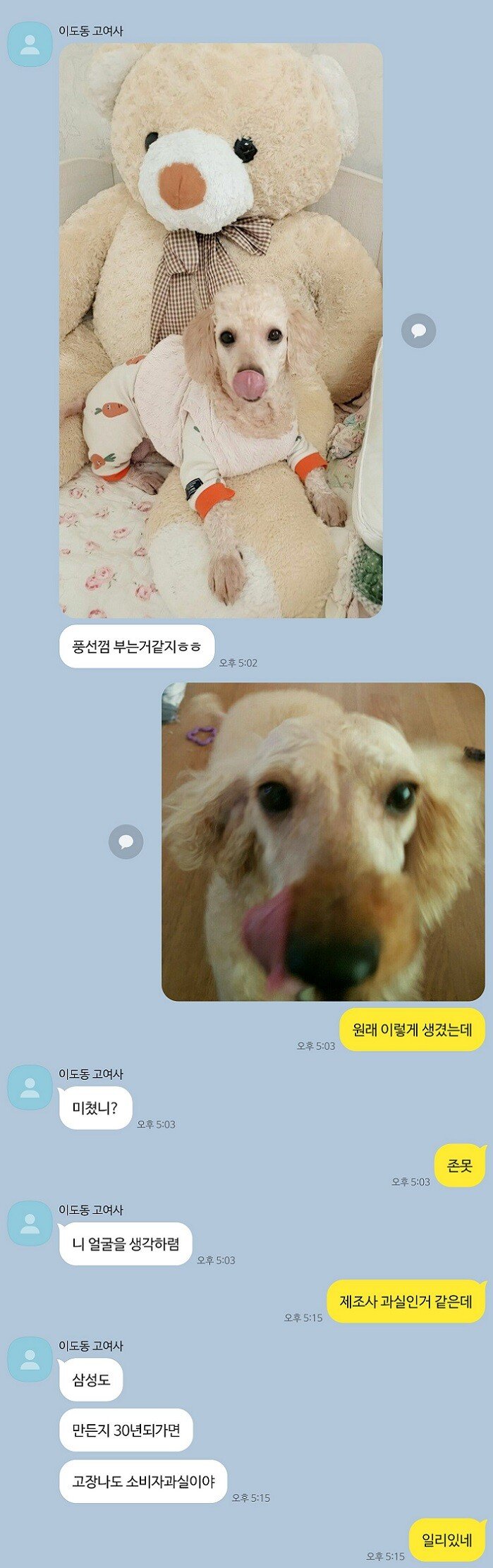 17371281987176.jpeg