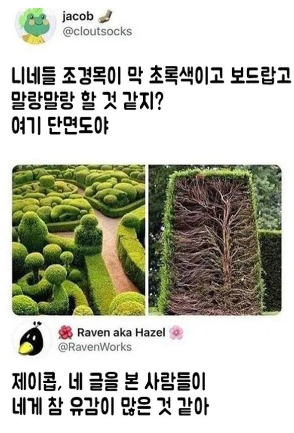 17371311087082.jpeg