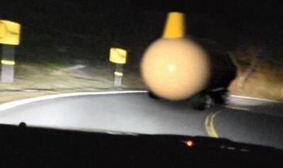17371331105479.jpeg