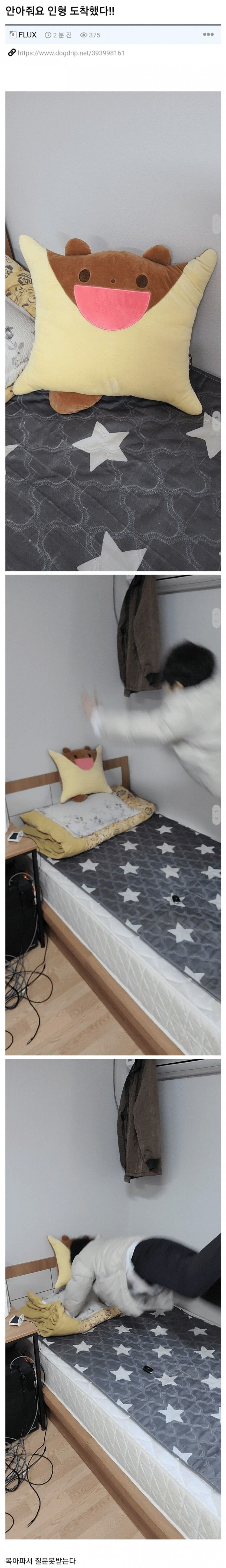 17371332010237.jpeg